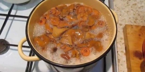 Trebam li potopiti gljive prije soljenja i prženja